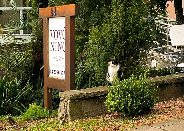  Vovô Nino